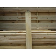 PSE Palisade Pointed Top 70mm x 17mm